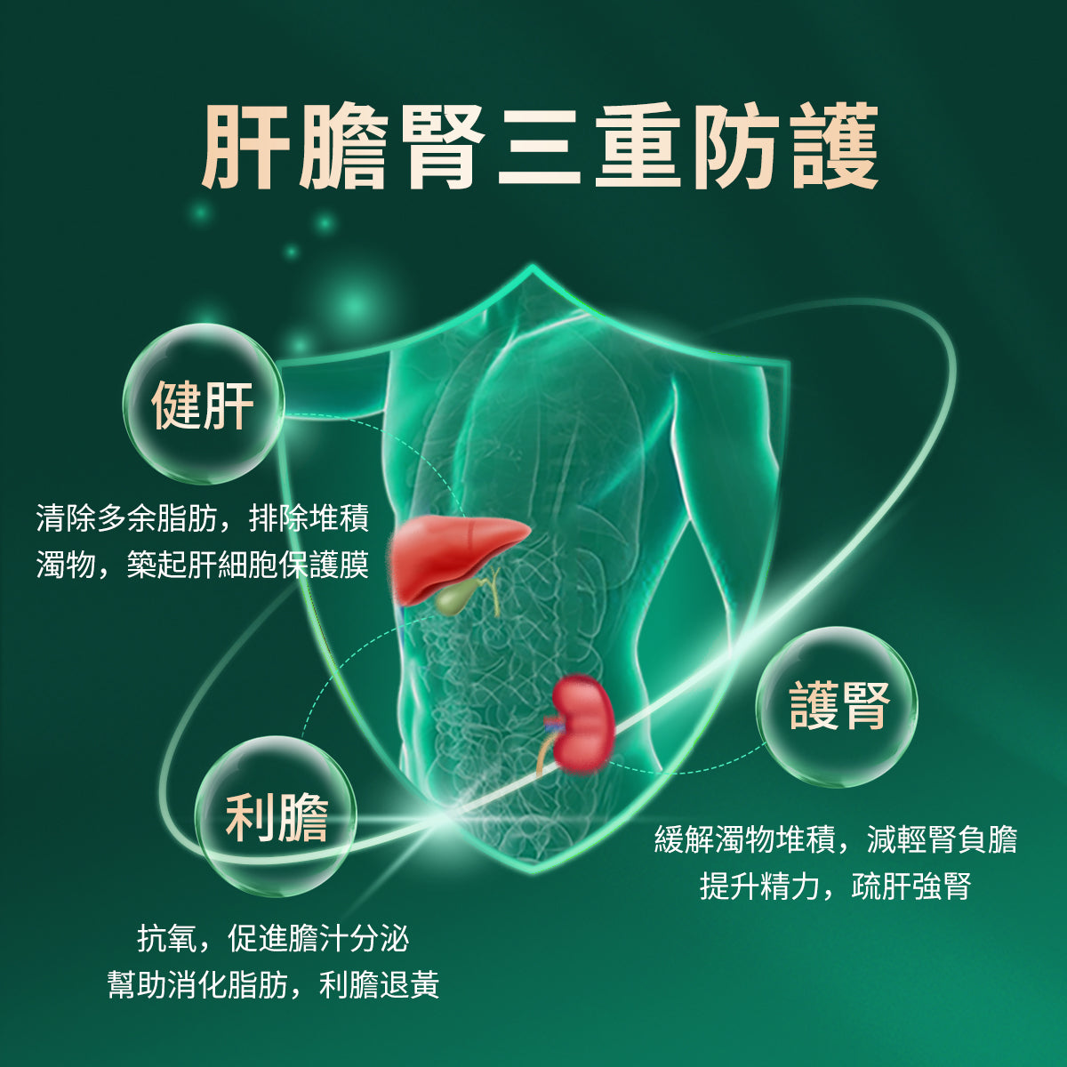 CELFULL-Hello Liver (30 capsules/box)