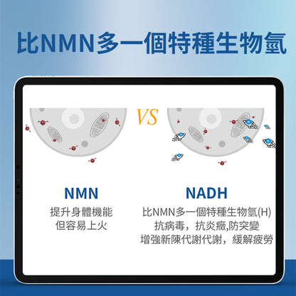 CELFULL-NADH 力活元（30粒/盒）